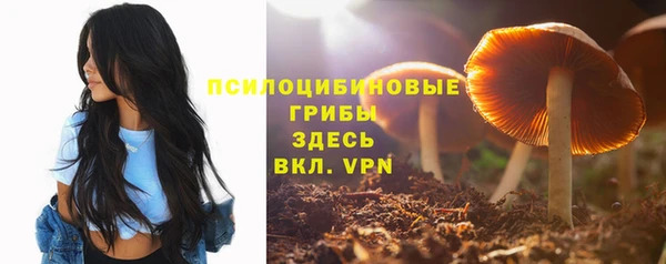 jwh Зерноград