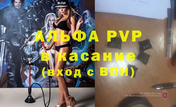 герыч Пересвет