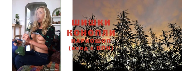сатива Пестово